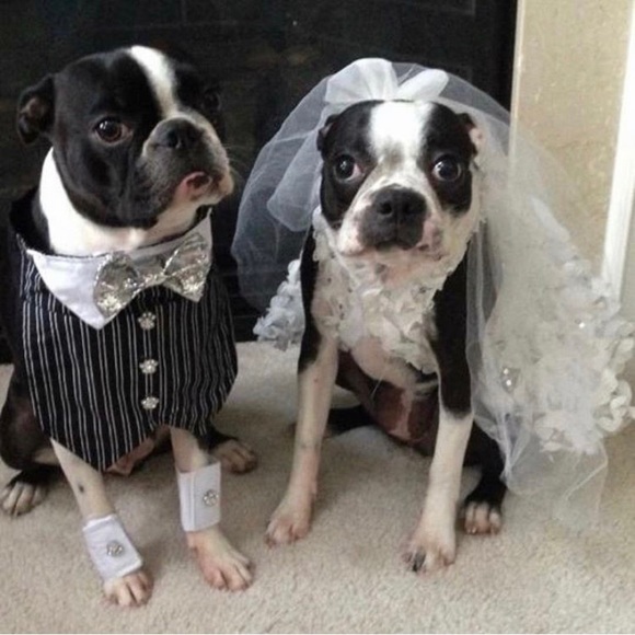 Thank you for shopping with me! Offers welcome! - Picture 10 of 16